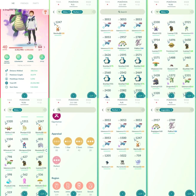 ACm1085 -Level 55 | 2001909 dust | x33 shiny x9 100IV | CP3000+ 4 CP2000+ 31 | Palkia Regigigas SHADOW Raichu SHUNDO | x2 Salamence Shinys SHADO