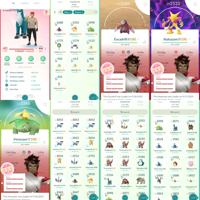 AC1099 Valor | x7 3000CP | x28 2000CP | x10 SHUNDO Excadrill Venusaur x4 Abra | x3 Cobalion Terrakion | 100IV x2 Dragonite x5 Salamence x3 Tyran