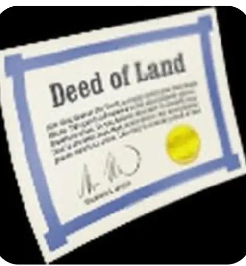 X10 Land Deep / Fast Delivred