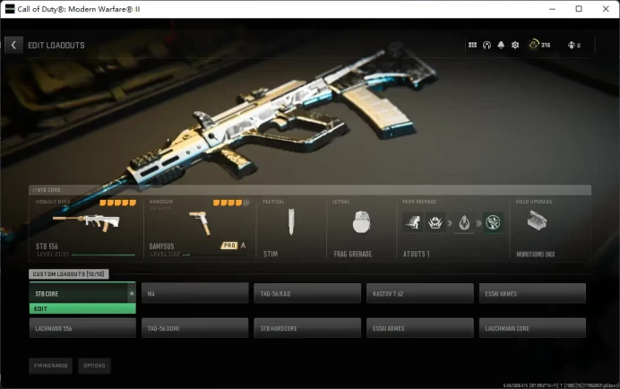 Call of Duty Modern Warfare II /  Black Ops 6  / see the picture / Please Read Description / sjsw