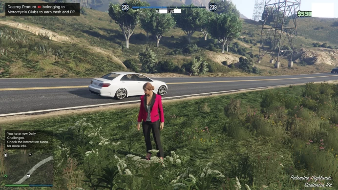 [ID:176698][ROCKSTAR VERSION][ENHANCED VERSION] GTA ACCOUNT + CHARACTER 238 LVL + 530 MILLION MONEY + UNLOCKS 