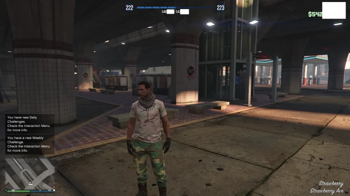 [ID:65781][ROCKSTAR VERSION][ENHANCED VERSION] GTA ACCOUNT + CHARACTER 222 LVL + 542 MILLION MONEY + UNLOCKS 