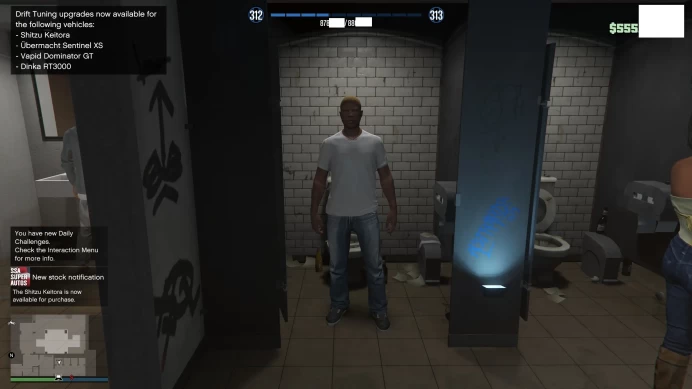 [ID:176829][ROCKSTAR VERSION][ENHANCED VERSION] GTA ACCOUNT + CHARACTER 312 LVL + 555 MILLION MONEY + UNLOCKS 