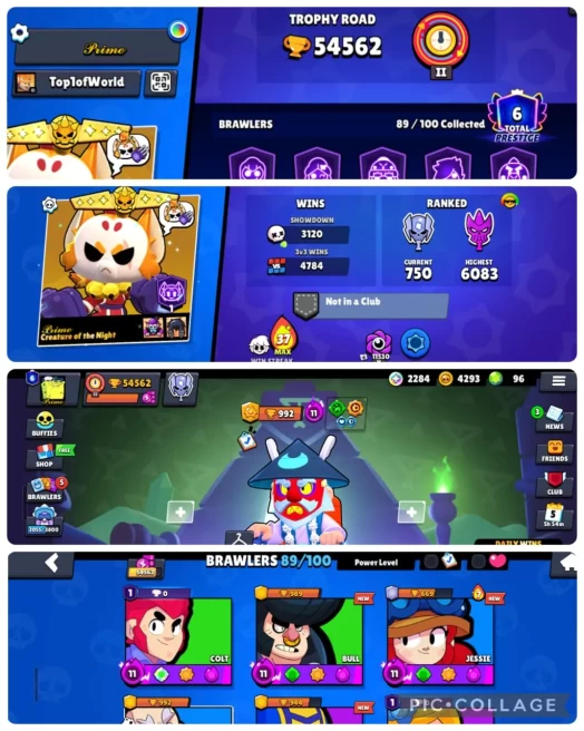 BS ACC || 54K TROPHIES  || 20 HYPER CHARGE + 4 MAX || 24 MAX BRAWLERS || 89/100 BRAWLERS || OP EMOTES|| 4 BUFFIES || 234 SKINS || VB14