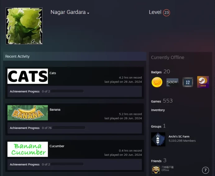 Steam Paid games 553 Game for 2300$