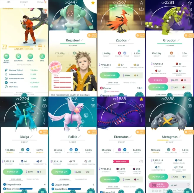 2073 Level 70 Eternatus Shundo Registeel Shiny Mega Rayquaza