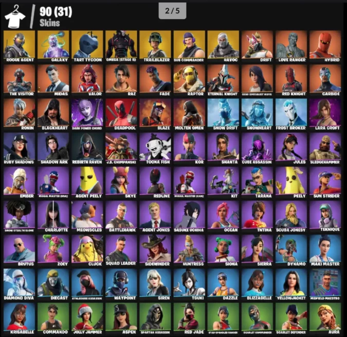 90 Skins Rogue