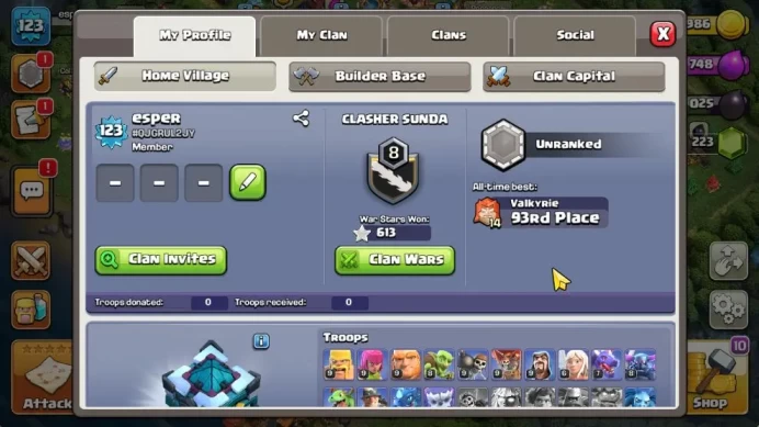 TH 13 - BH 6|Limited Skin|LV 123|HH 7|BK 65,AQ 65,GW 45,MP 33,RC 11,DD 0|CN ON|Protect OFF|TAKE MAIL|Check SS(COC2081)