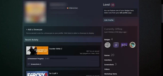 10 Level Steam_+ 10 other games_2016 Service Medal ,Phoenix Coin,10Y_Last Online 4 year ago _<30 Days Warranty>_5Y, Global, Loyalty_867hrs`