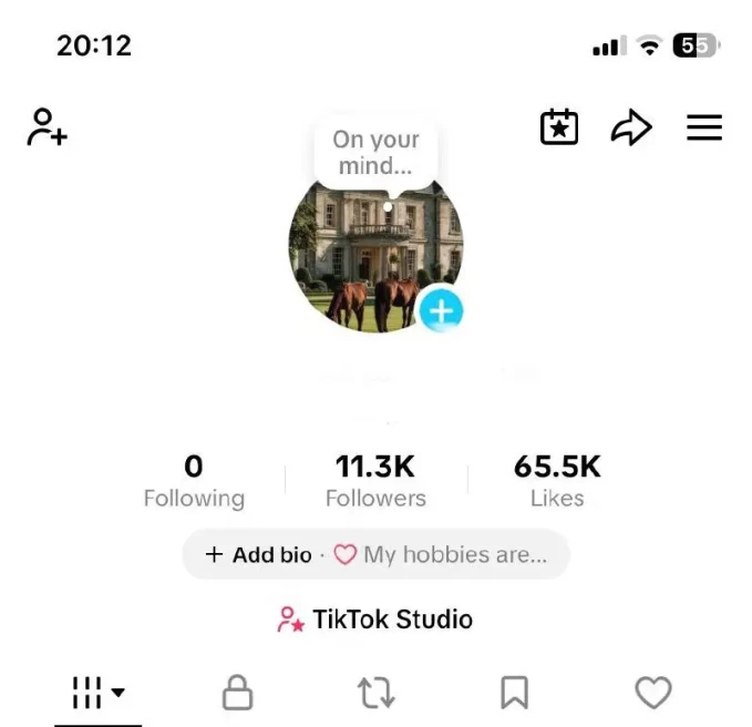 France Monetized Account Creator Rewards Program Active | 11.2k Real Followers & 65.5k Likes | Live Acess+ Full Access + Acc in Good Standing
