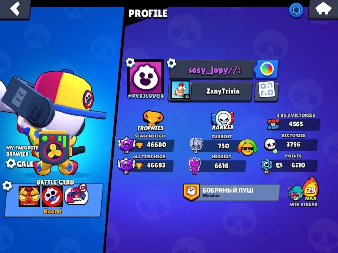 46 k cup/88 brawl/136skin /10 brawl max hyperchard/32 gem/3000 coin/Lifetime warranty(C2170)