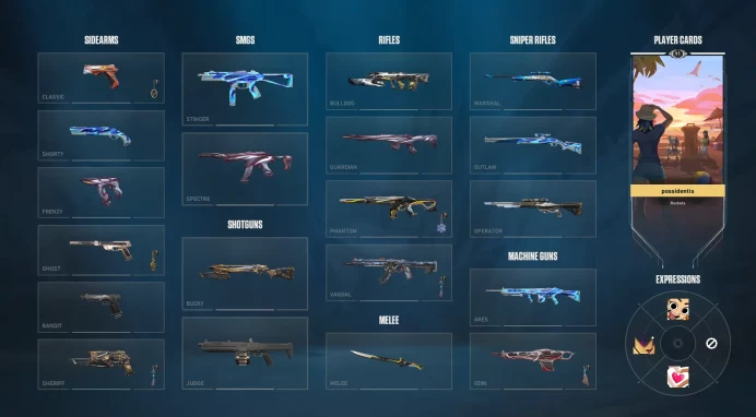 Eu-tr / 36 Skins (Prelude to Chaos Vandal , Champions Phantom , Sentinels Operator , Aemondir Vandal , Champions Blade ,Aemondir Sheriff )