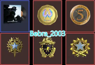 CS2 Prime 988 hours+4Medals(2017-2020 Service Medal/Loyalty Badge/5Y/Global Offensive Badge)