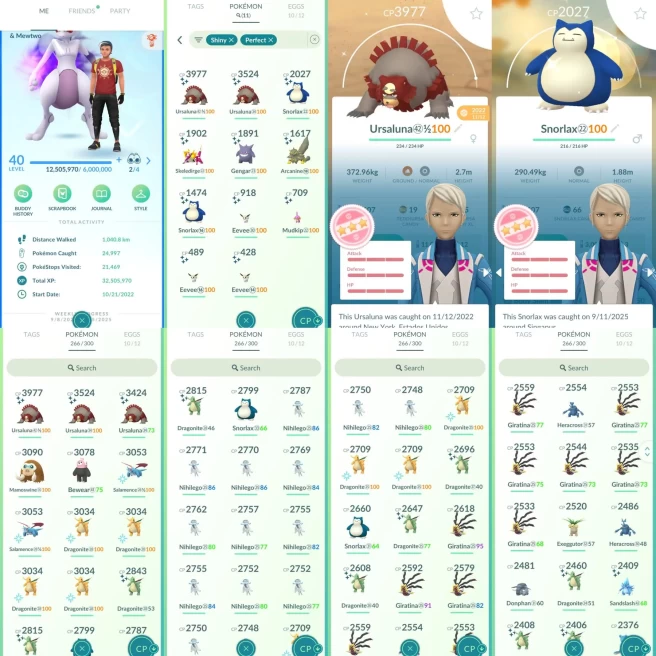 AC1051 Mystic | x11 3000CP | x92 2000CP | x11 SHUNDO x2 Ursaluna x2 Snorlax Gengar x3 Eevee Mudkip | Mewtwo SHADOW x2 Latios x10 Giratina x6 Hoo