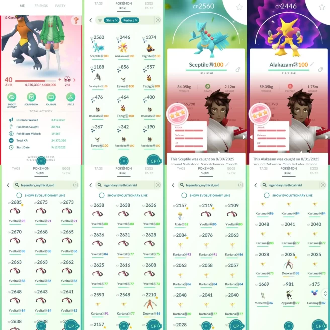 AC1031 Valor | x19 3000CP | x144 2000CP | x12 SHUNDO Sceptile Alakazam | x2 Deoxys Uxie x23 Yveltal | 100IV x4 Dragonite x4 Salamence x2 Metagro