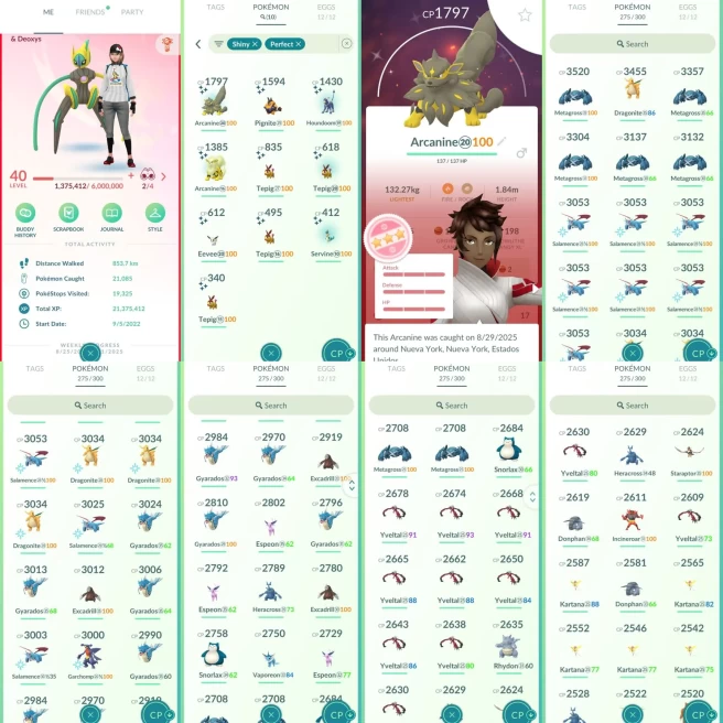AC1026 Valor | x23 3000CP | x114 2000CP | x10 SHUNDO Pignite Eevee | x15 Deoxys (x1 Shiny) x7 Yveltal | 100IV x3 Dragonite x4 Metagross Garchomp