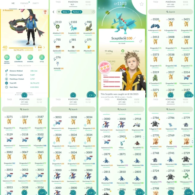 AC1014 Instinct | x38 3000CP | x145 2000CP | x7 SHUNDO Sceptile | Articuno Zapdos x2 Moltres x4 Mewtwo x5 Rayquaza (x1 Shiny) x5 Landorus (x2 Sh