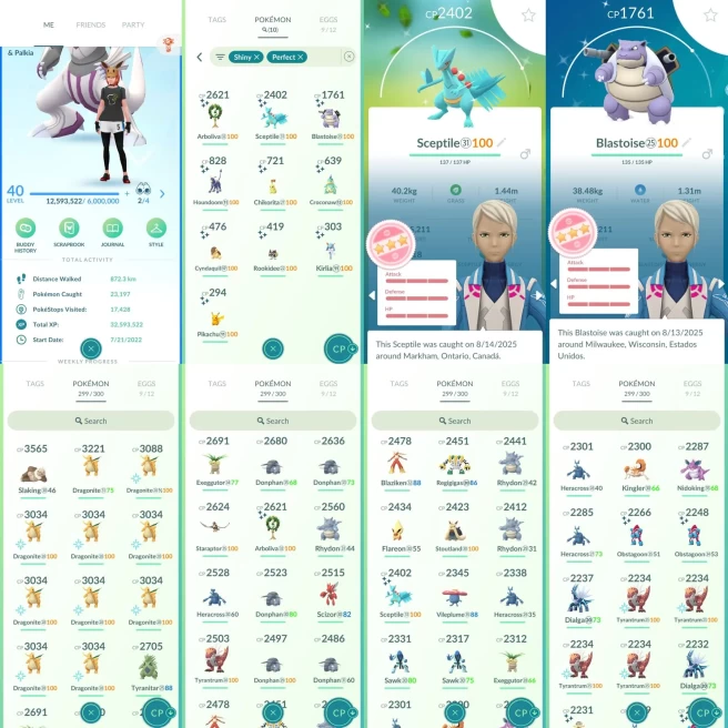 AC1007 Mystic | x11 3000CP | x80 2000CP | x10 SHUNDO Sceptile Blastoise Chikorita | Articuno Mesprit x2 Dialga x2 Palkia Heatran Regigigas Zacia