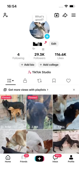 Instanly Delivery/ USA Monetized 29K Real Followers+110K Real Likes Account/ Creator Rewards Program Activated/ Full Access