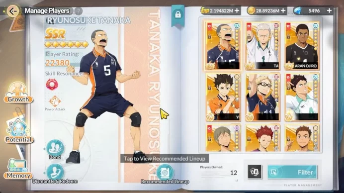 SEA Lv52| 5 SP (Hinata,Nishinoya,Bokuto,Keiji,Tsukishima)+Memo 3 UR (Kageyama,Sakusa,Komori)+Memo 12 SSR |5K DM|CheckSS(HFH1016)