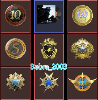 CS2 Prime+8 rare Medals(Gold Operation Vanguard Coin/2015-2016-2018 Service Medal/10Y/5Y/Loyalty Badge/Global Offensive Badge)