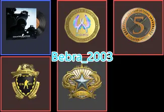 CS2 Prime 271 hours+4Medals(2018 Service Medal/5Y/Loyalty Badge/Global Offensive Badge)