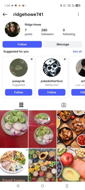9 months old I.G accounts 2fa verified with key, profile picture and many posts