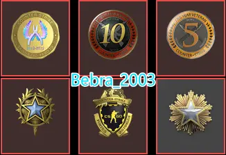 29Game-CS2 Prime 971 hours+6Medals(2016-2020 Service Medal/10Y/5Y/Loyalty Badge/Global Offensive Badge)