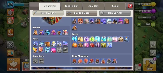 Town hall 16 Xp 210, 8 equipment epic(3 max),C6041