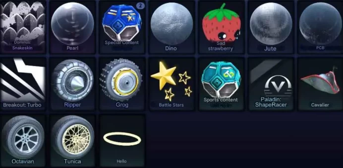 STOCK157 // ACCOUNT WITH  Fennec, TW Dingo, 3 BM, Reaper + inventory + 36 LVL (K)