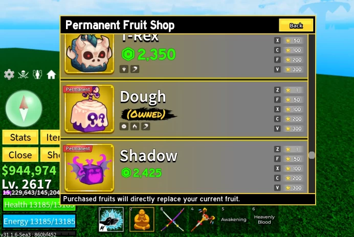Lvl 2617 Blox Fruits Acc | 5 PERMS (Leopard, Dough, Blizzard, Buddha) + DRAGON TOKEN | Angel V4 | CDK, Tushita, Yama | Sharkman Karate