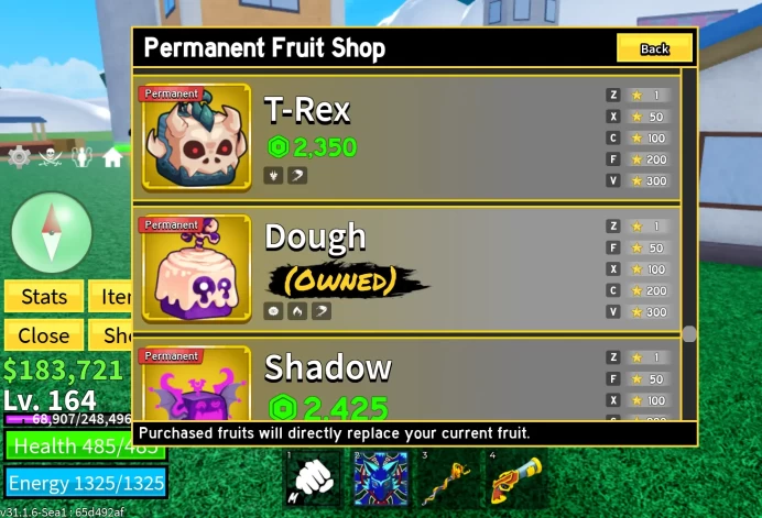 Lvl 164 Blox Fruits Starter Acc | PERM KITSUNE & PERM DOUGH | Coat Accessory | Human V1