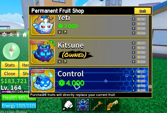 Lvl 164 Blox Fruits Starter Acc | PERM KITSUNE & PERM DOUGH | Coat Accessory | Human V1