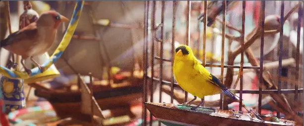 Avian Alarm Project 1 - 5 - [PC/PS/XBOX] - Real stock + Fast delivery