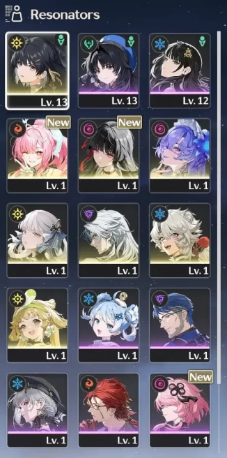 WW89//LVL 8 Aemeath + Chisa + Kumokiri + Cantarella + Jinhsi + Calcharo C1 + Verina + Lingyang