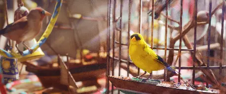 Avian Alarm Project 2-5-[PC/PS/XBOX]-Real stock + Fast delivery