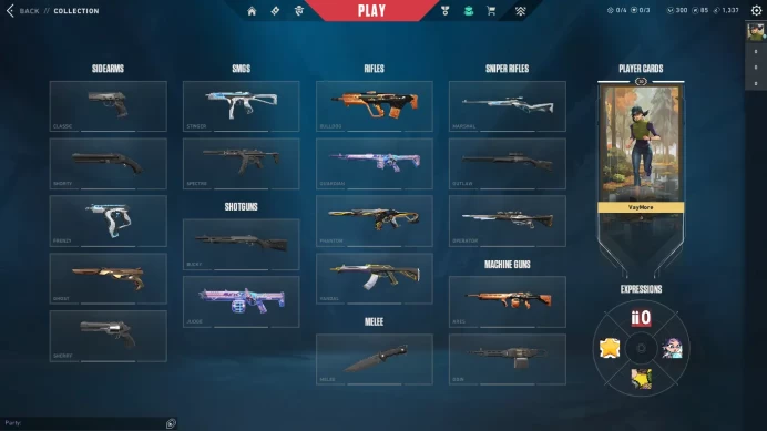 【Eu/Tuk】9.5k VP Spent | Total Skin: 15 | Platinum | 30 Level | 300 VP Free | Data Changeable | Full Access | Instant Delivery (Champions/Prime)