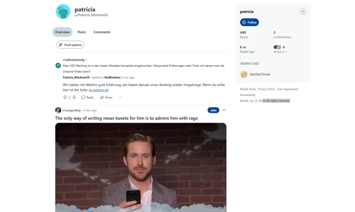 449 KARMA 6 MONTHS OLD REDDIT ACCOUNT/HIGH QUALITY ACCOUNT /QUICK DELIVERY