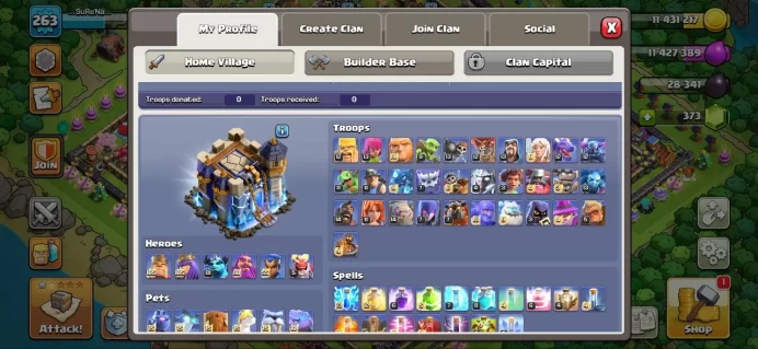 Th_18(XP 263)(ALL HEROS MAX)(120 WALL MAX)(DEF& TROPE & PETS MAX)(C.N FREE)(10 EPIC MAX)(LIFTIME WARANTY)(30 %OFF)