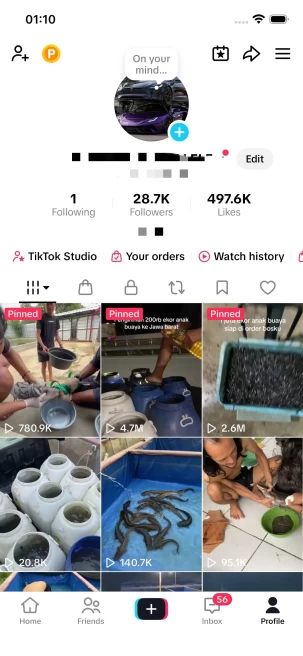 Instanly Delivery/28K Real Followers+490K Real Likes/ Tiktok Shop For Creator/ Live Stream/ Full Access