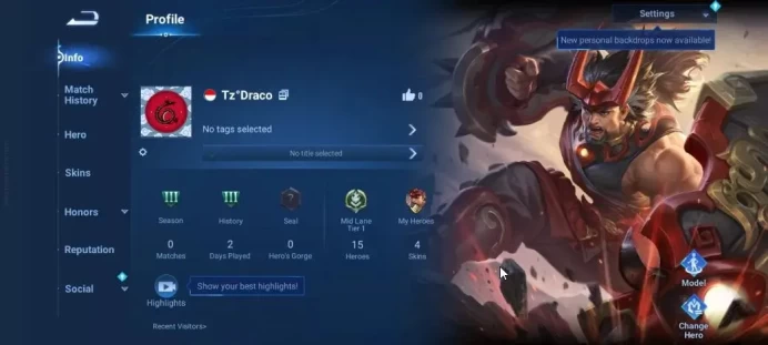 Hero 15 Skin 4|Legend Skin Selection Chest(Di Renjie,Angela,Yao,Skin Fragment 16)|Log Infinite|Check SS(HOK1945)