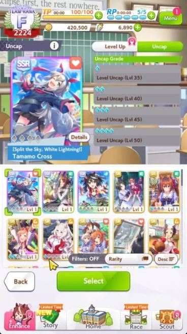 GLOBAL|Fresh Starter 6890 Carats|3 SSR[Kitasan,Fine Motion,Tamamo Cross]|SSR Ticket Untouch|Check SS|Check SS(UM1119)