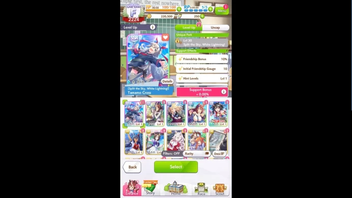 GLOBAL|5 Best SSR Card (Lb 2+Kitasan,super Crek,Lb 1+Fine Motion,Lb 1+Tamamo Cross)15 SR|SSR Ticket Untouch|Check SS(UM1086)