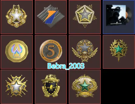 CS2 Prime 3407 hours+10Medals(2018-2019-2020-2021-2024-2025 Service Medal/5Y/Loyalty Badge/Premier Season One Medal/Global Offensive Badge)