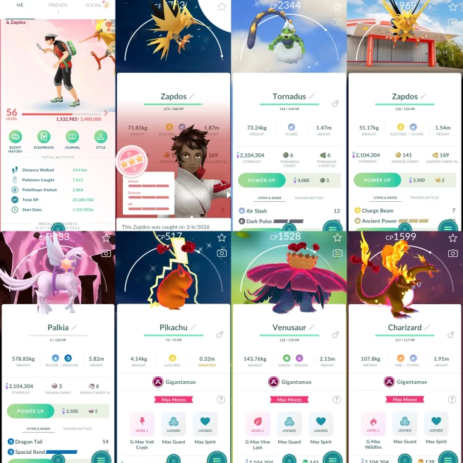 2205 Level 56 Zapdos100 Shiny Zapdos PokePark Kanto Japan BG x2 Shiny GMax Pikachu Shiny Tornadus