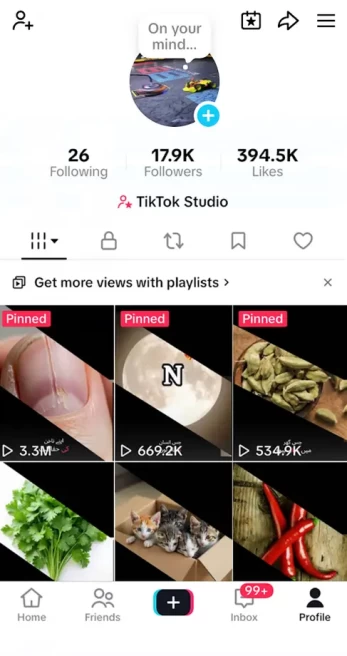 France Monetized Account/ 17K Real Followers+394K Real Likes/ Creator Rewards Program Activated/ Live Stream/ Full Access