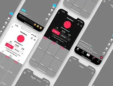 TikTok Account | MIN 2 K Followers | 10K Likes | MIN 100K Views | Live Available | Account Access | Included