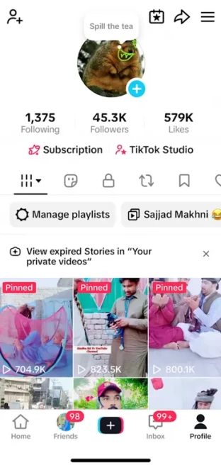 France Monetized Account/ 45K Followers+579K Likes/ Creator Rewards Program Activated/ Live Stream/ Full Access