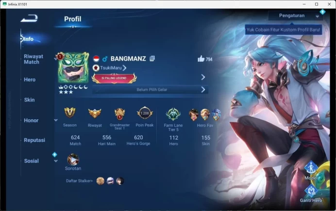 global | hero 112, skin 155 legend allain, GM ganmo, SXNX houyi, SXNX dyadia, SXNX nuwa, limbo dong huang HOK172B