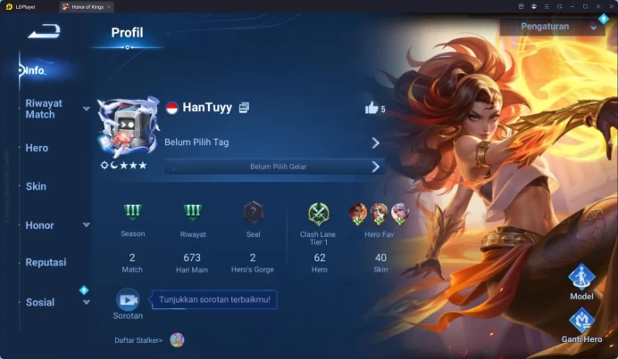 HOK Global 62H 40S | LGD Lady Sun | SXD Hou Yi | Promise Arli | Epic & Event Skins | Full SS HOK207B